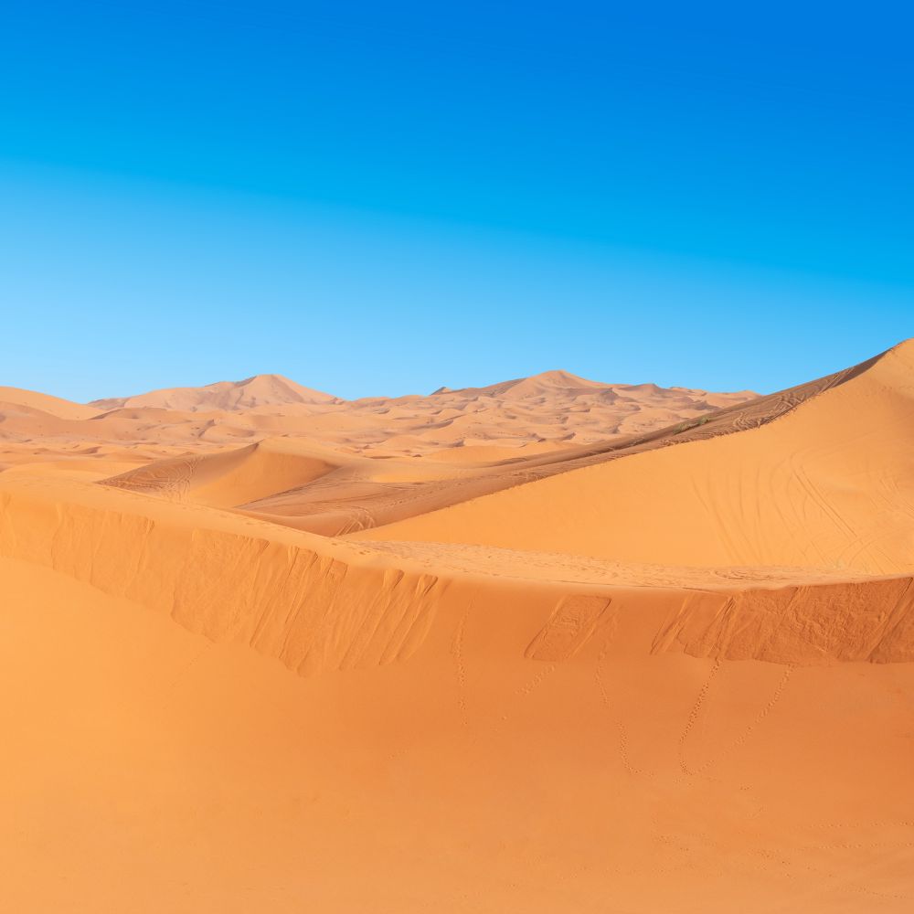 Sortie désert dans les dunes de Makkah - Guide In Makkah